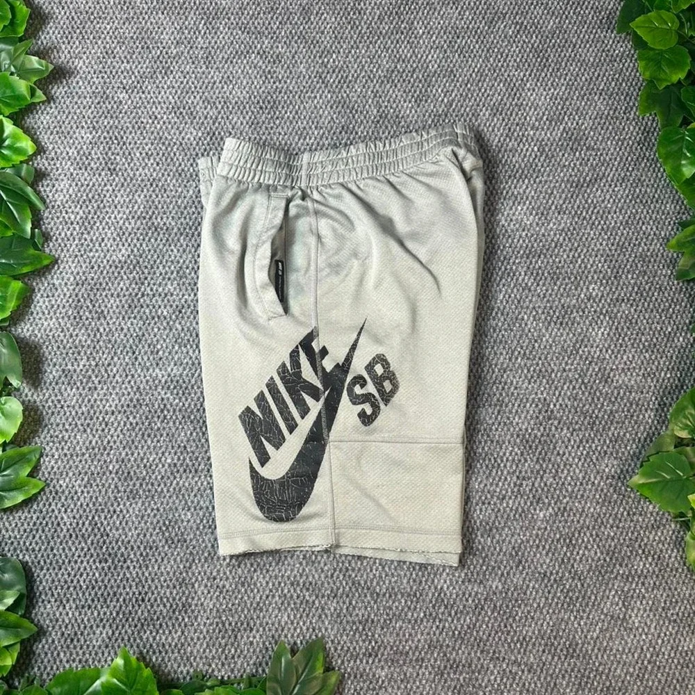 Nike SB Dri-FIT Skateboarding Shorts Gray Big Logo